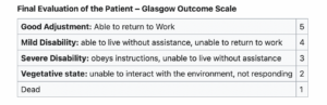 Final Evaluation of the Patient – Glasgow Outcome Scale.